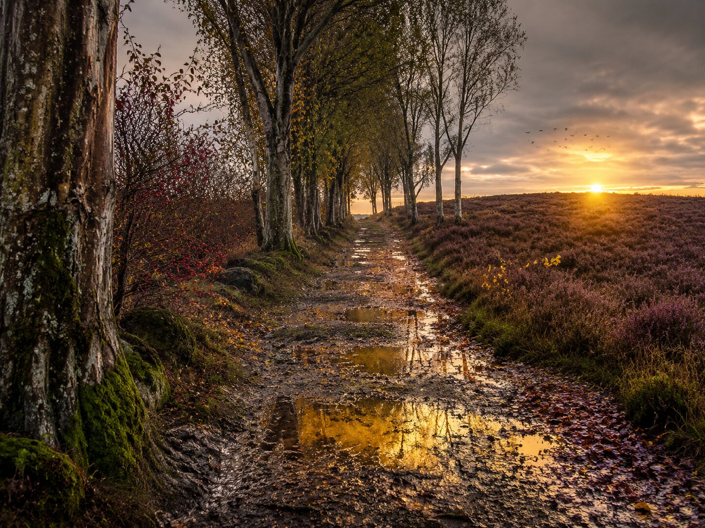 Muddy roads that lead toward the light anyway